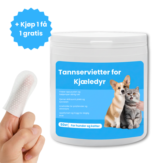 Fingerwipes for Kjæledyr