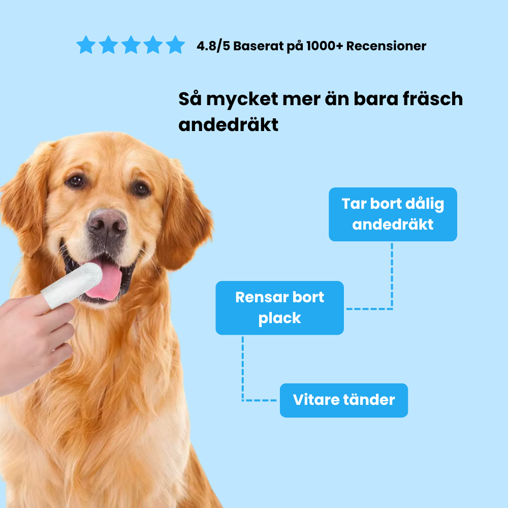 Fingerwipes för Husdjur